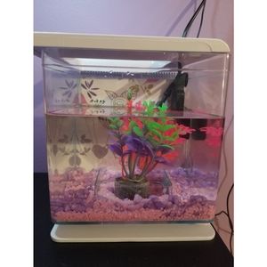 Betta Fish Aquarium 2L #fishaquarium